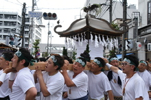 写真：須賀神社みこし