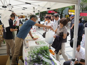 野菜の販売