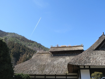 ひこうき雲