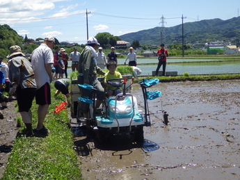 機械で田植えをする写真