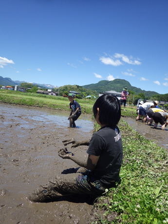 泥遊びの写真