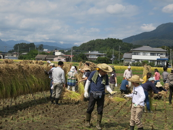 稲刈り終わり