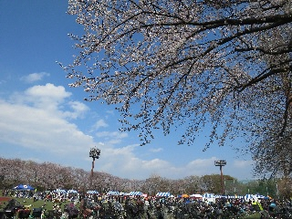 イベントの全景