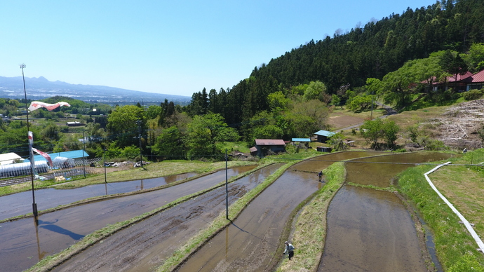 春の石墨棚田