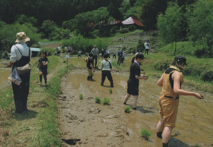 写真：田植えの写真