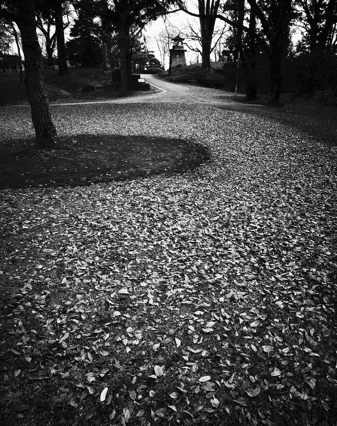 写真：モノクロの沼田公園の鐘楼と落葉の散策路の写真