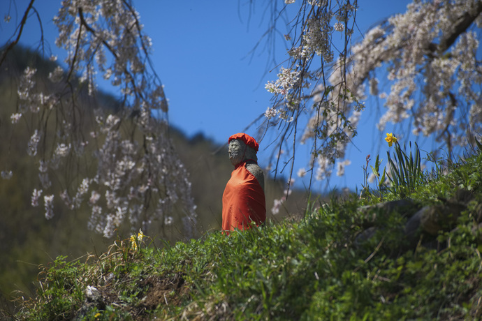 写真：桜とお地蔵さんの写真