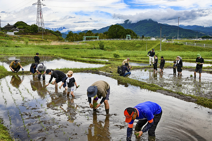 写真：平井棚田で田植え体験をしている写真