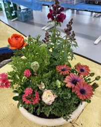 夏を楽しむ寄植え教室