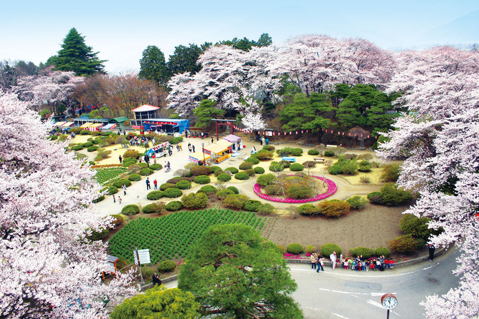 写真：沼田公園