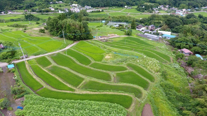 石墨棚田の景色