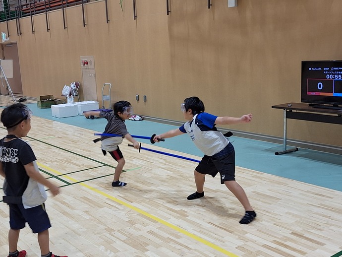 fencing