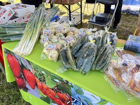 沼田市のテントの様子