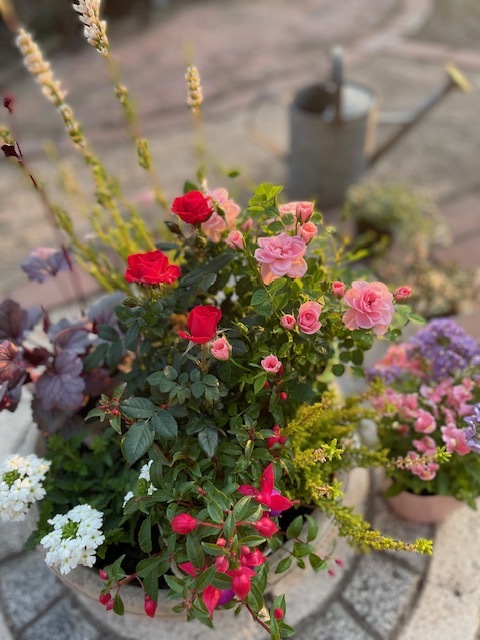 ミニ薔薇イメージ