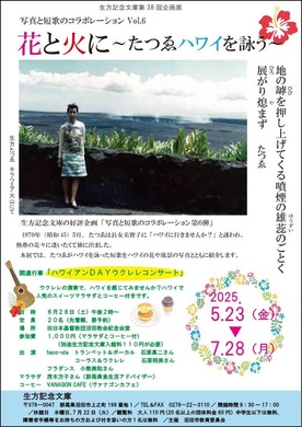 チラシの画像