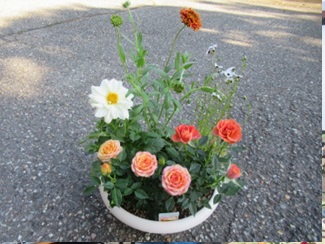 完成した寄植えの写真