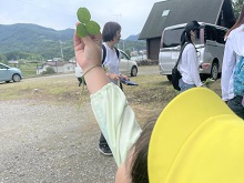 クローバー