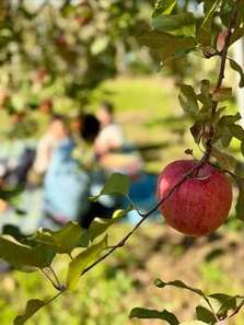 沼田ピクニックフォトコンテスト優秀賞作品