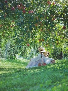 沼田ピクニックフォトコンテスト優秀賞作品