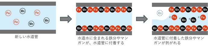 成分の蓄積から流出まで