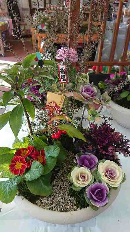 新年寄せ植え画像