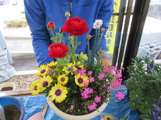 春の寄せ植え