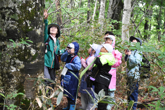 「たんばら・森林（もり）の学校