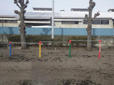 画像：3連低鉄棒