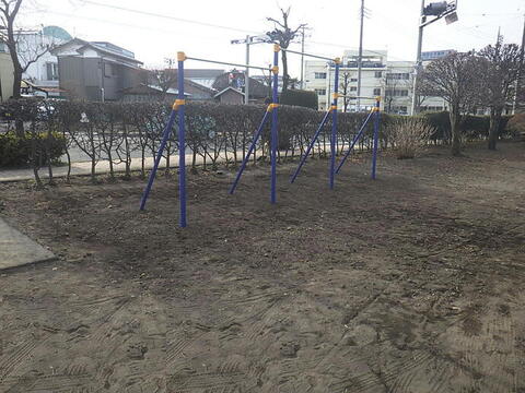 画像：3連高鉄棒