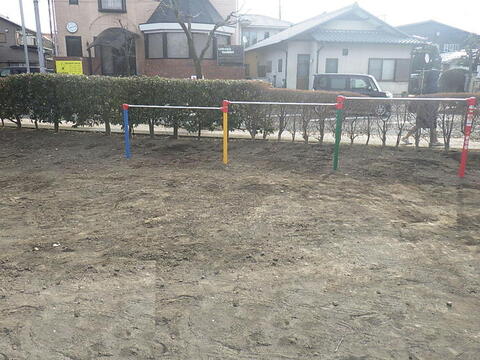 画像：3連低鉄棒