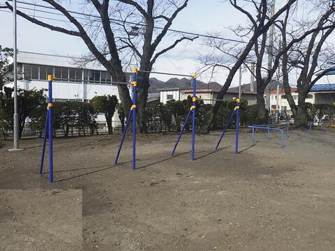 画像：3連高鉄棒