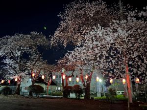 写真：提灯の様子