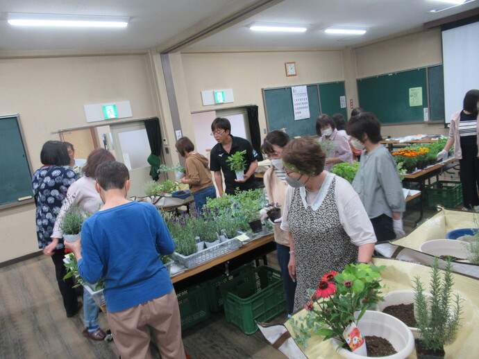 寄植え様子